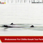 Top 10 Tours and Travels Bhubaneswar | Odisha Tour in 2026