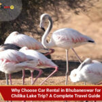 Car Rental in Bhubaneswar for Chilika Lake Trip in 2026