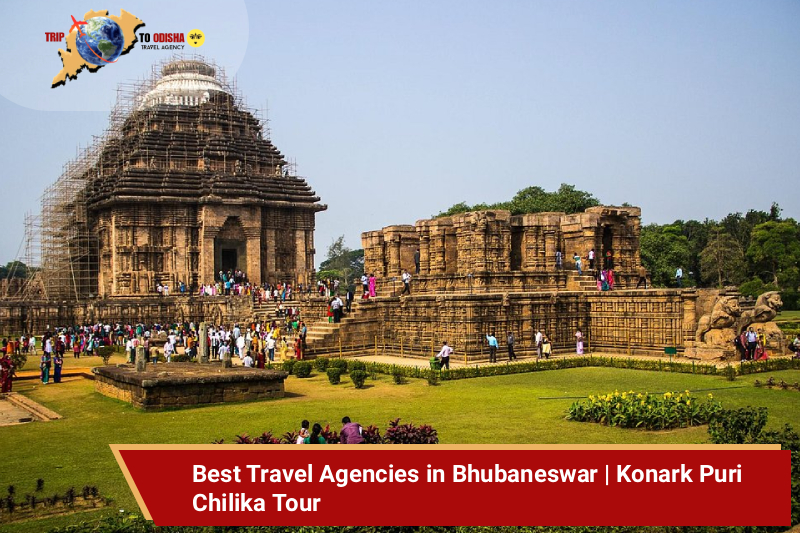 Best Travel Agencies in Bhubaneswar | Konark Puri Chilika Tour