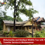 Tempo Traveller Service in Bhubaneswar | Wildlife Tour 2026