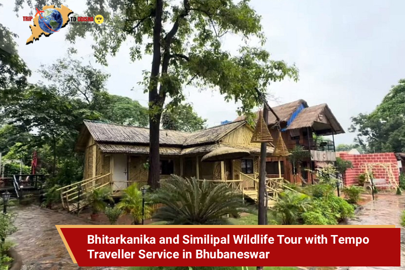 Bhitarkanika and Similipal Wildlife Tour with Tempo Traveller Service in Bhubaneswar